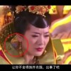 word对话框有哪些内容